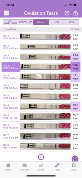 Testing 2nd Week December