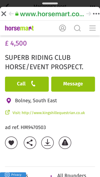 How on earth does anyone buy their first horse!!??