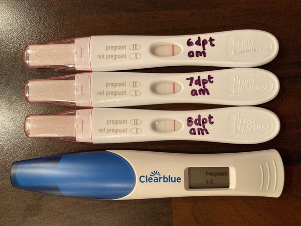 BFP – what now?