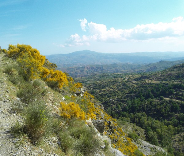 A week's stay in Spain - giveaway