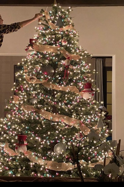 Show me your tree!