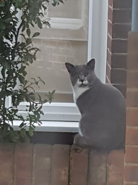 Westministenders: Election Special 2