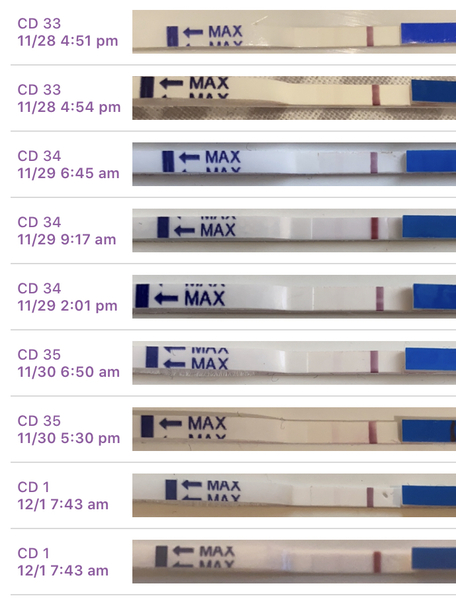 12 DPO - line eyes please