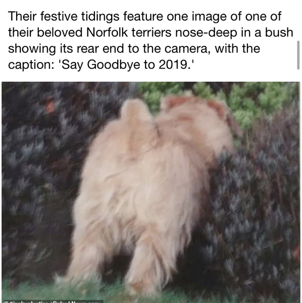 Meghan and Harry’s Christmas card