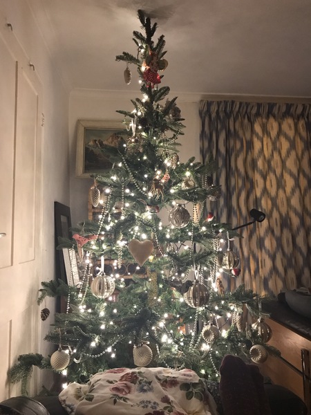 To ask to see your Christmas decorations?