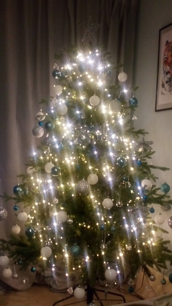 Show me your tree!