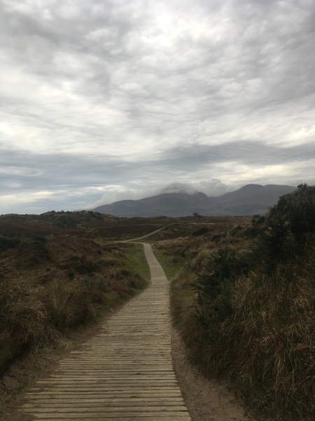 Any Witches Here? Part 10.