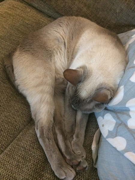 Westminstenders: Brexit means Brexit. A definition.