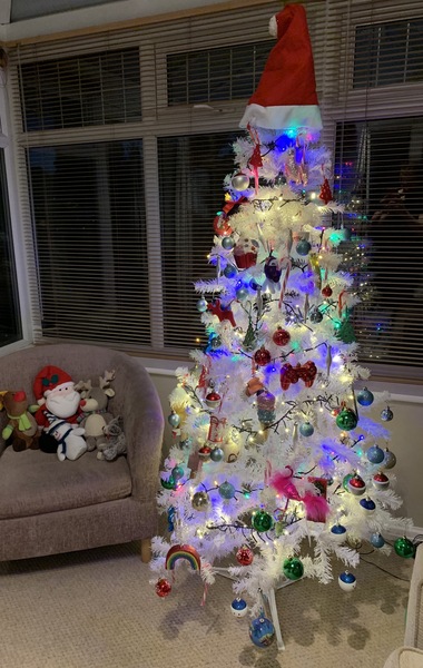 To ask to see your Christmas decorations?