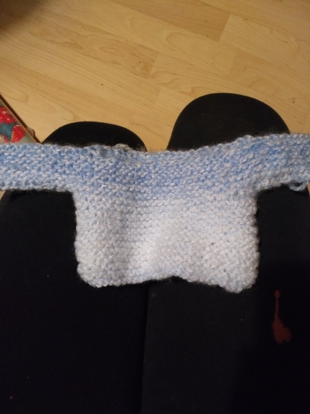 Festive fledglings flying through December - the Flylady thread