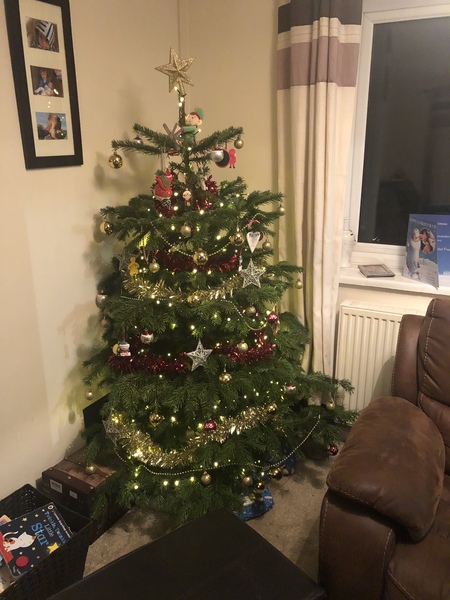 Show me your tree