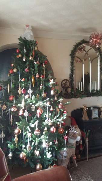 To ask to see your Christmas decorations?