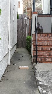 A Christmas begging thread from an Amazon driver