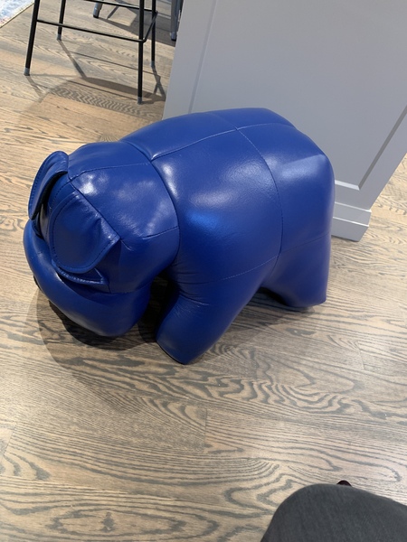 To think that a dino footstool would enhance ANY room