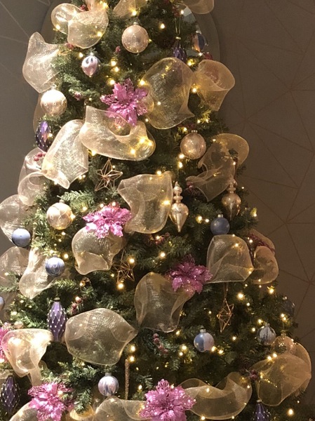Show me your tree