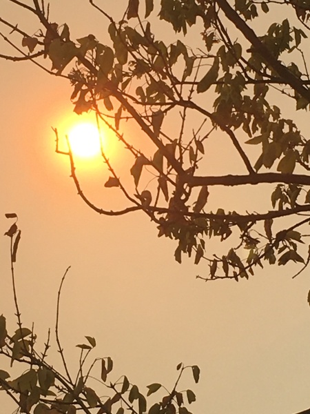 Australian bushfires