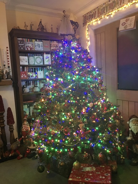 To be a tad disappointed with my balsam hill tree