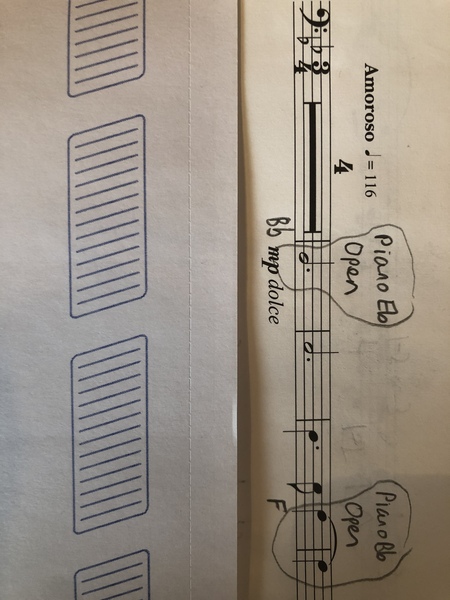 Could anyone musical explain this about transposing instruments please?
