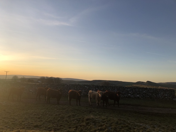 Is there anywhere left in the UK that's nice and safe to live?