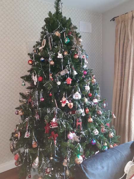 Show me your tree!
