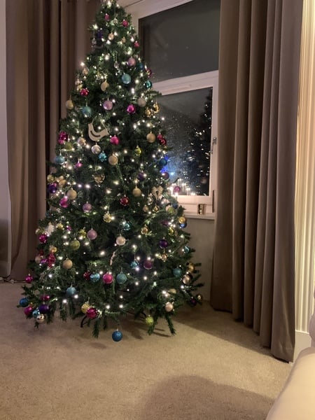 To ask to see your Christmas decorations?