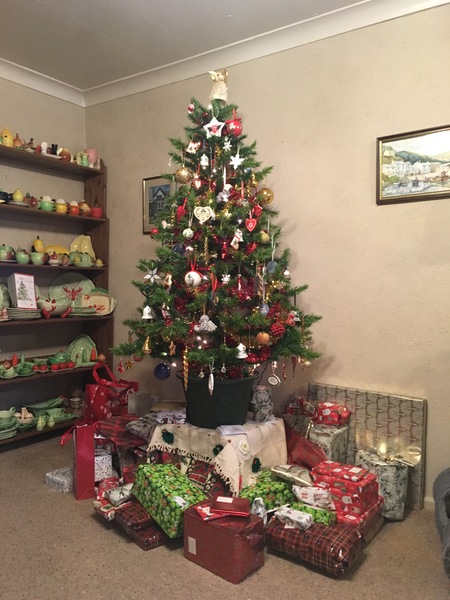 To ask to see your Christmas decorations?