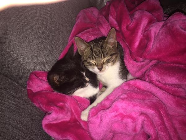 My two boys