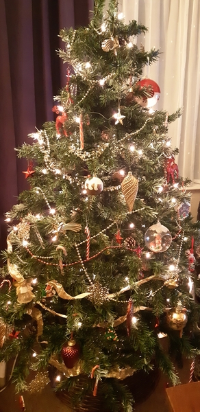 Show me your tree!
