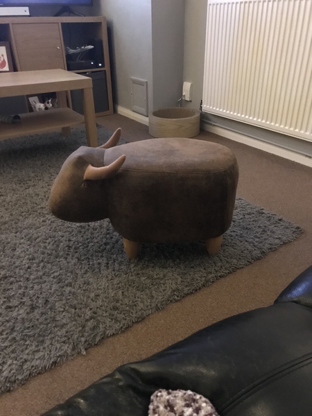 To think that a dino footstool would enhance ANY room