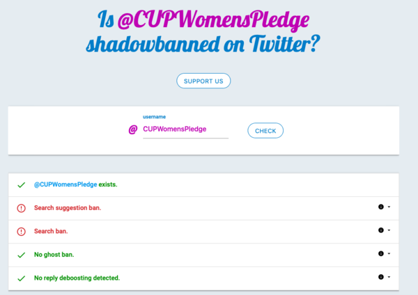 Twitter censoring women. Is this political interference?