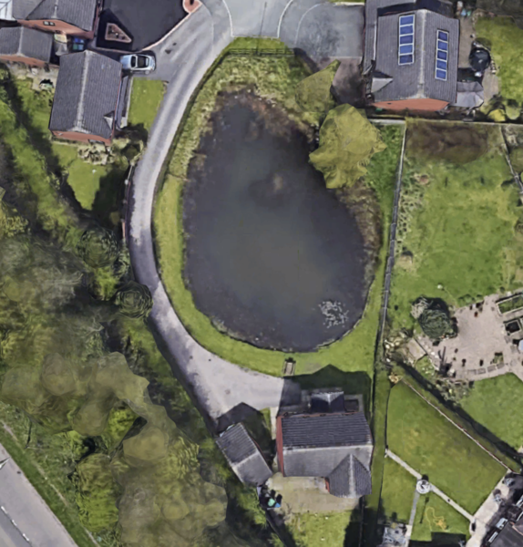 Corner plot with a pond