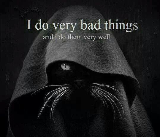 Swagger Inn thread 163 - it's raining --HBFs-- rain. FML...