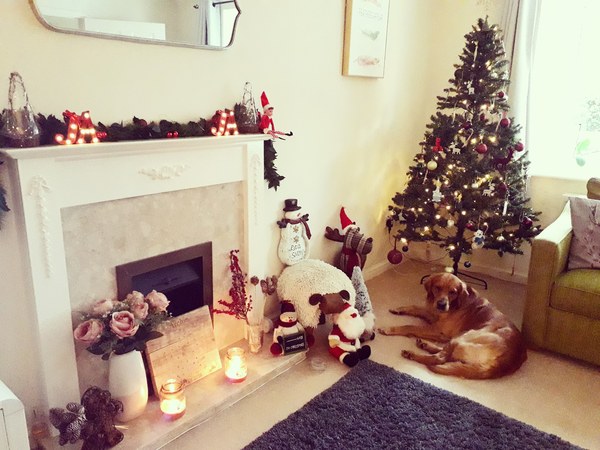 To ask to see your Christmas decorations?