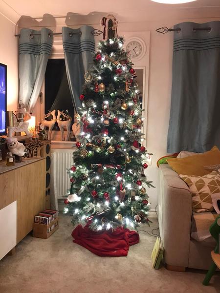 Show me your tree!