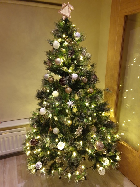 Show me your tree!