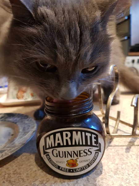 What's your DCat up to today? (Thread 7!)