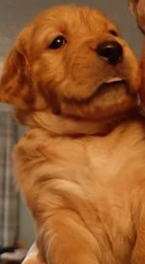 What is this gorgeous girl’s name?