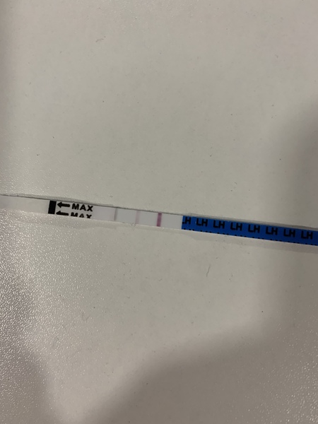 Bloody OPKs — please help :(