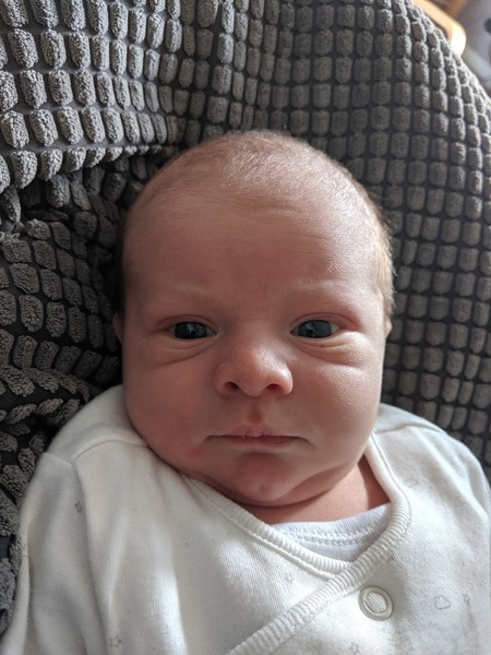 Help name this baby!