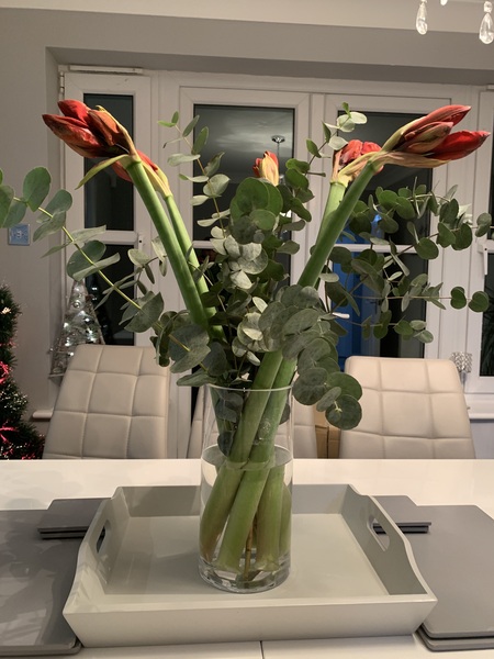 Christmas bargains referral thread 2