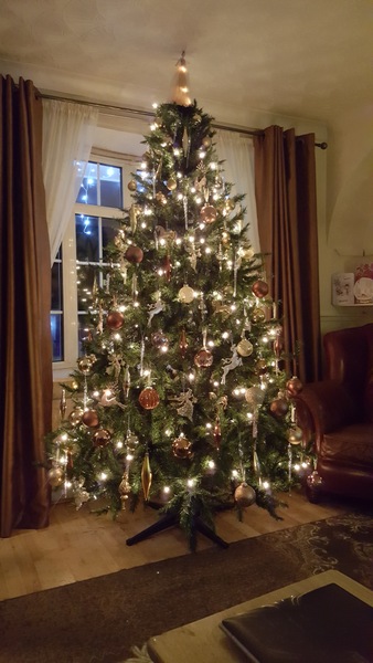 To be a tad disappointed with my balsam hill tree