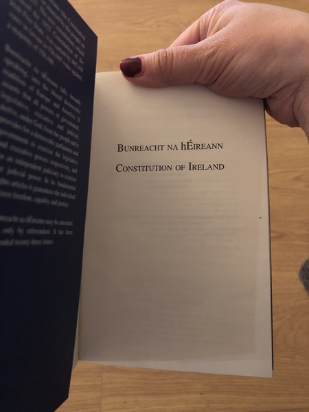 Irish racism in England