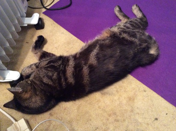 Westminstenders: The Undecideds