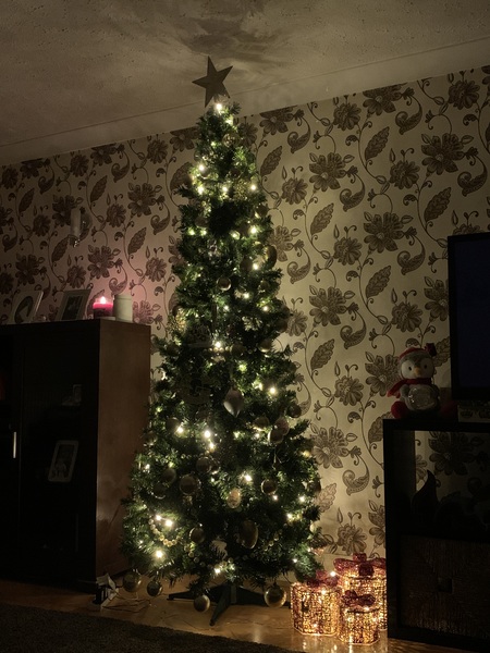 Pop up xmas tree?