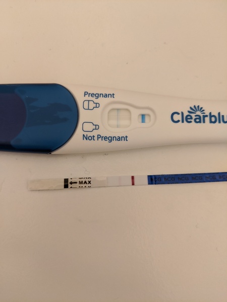 BFP! August/September 2020 Babies!