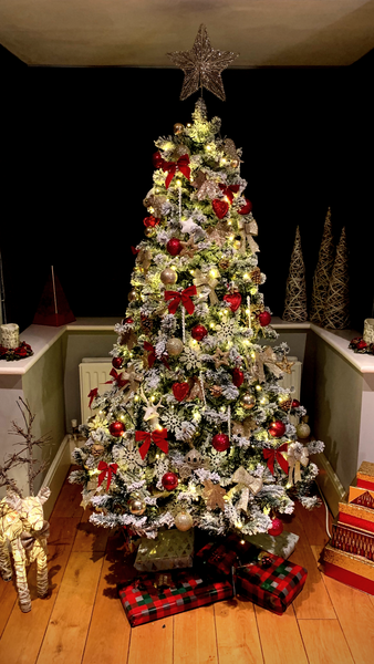 To ask to see your Christmas decorations?