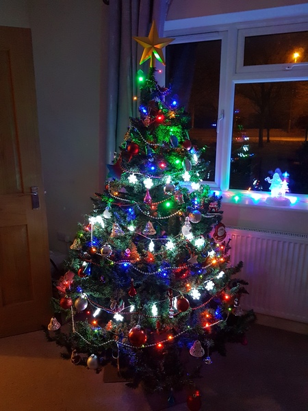 Show me your tree!