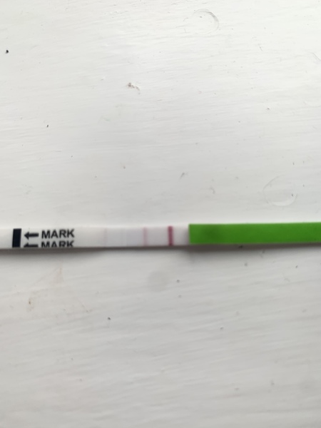 Ovulation