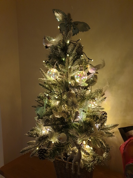 Show me your tree!
