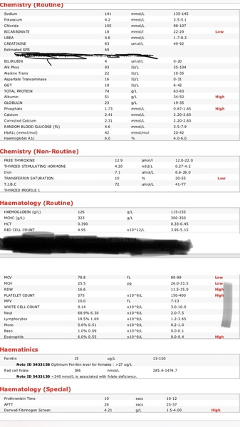 Help me read this blood test